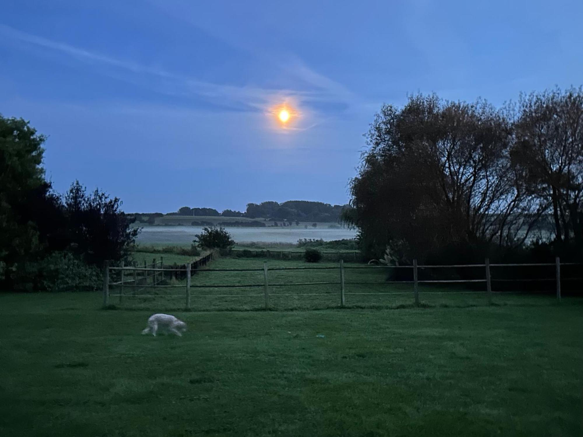 Vila Le Wim'Heureux Campagne Bazinghen Exteriér fotografie