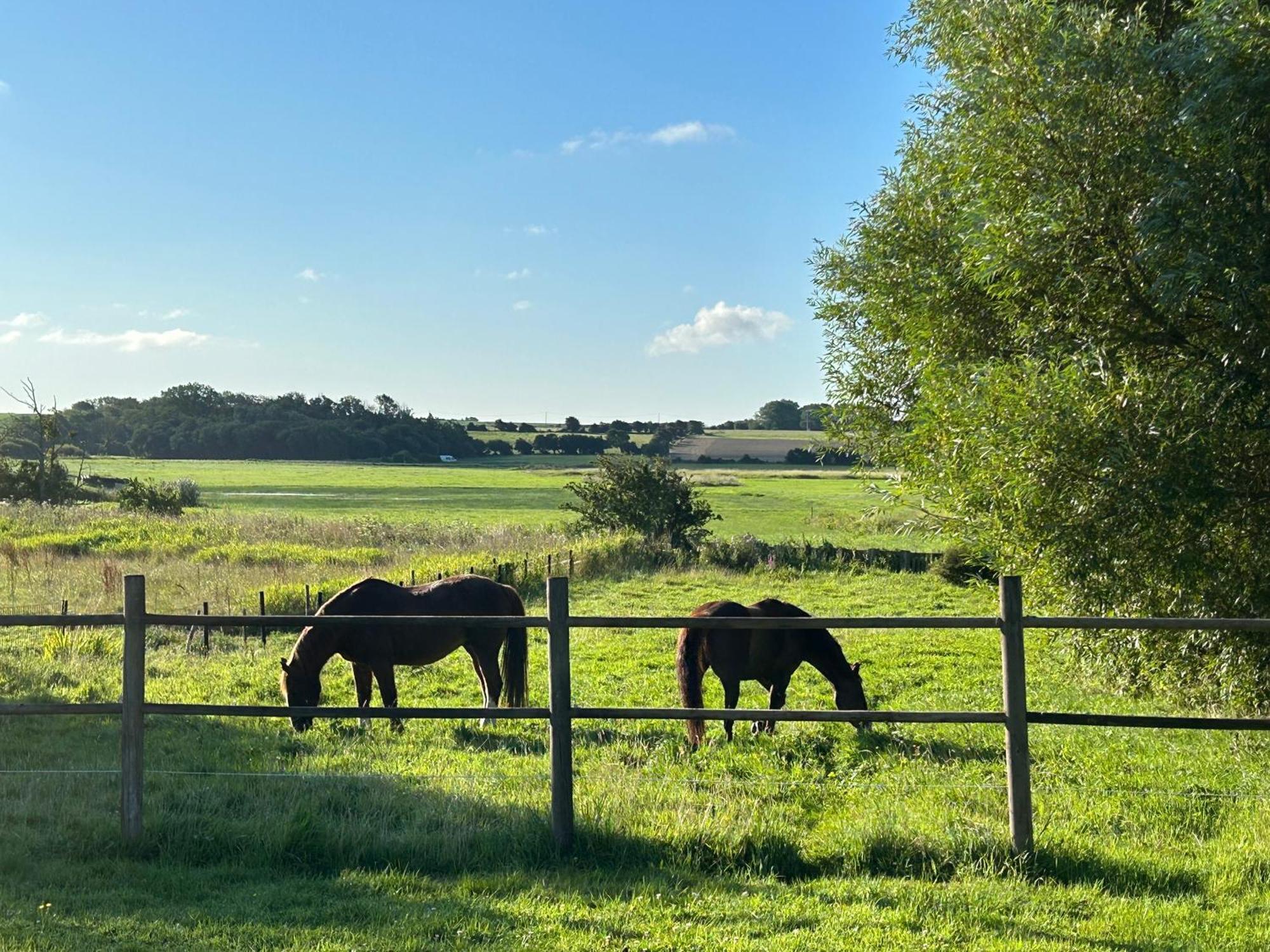 Vila Le Wim'Heureux Campagne Bazinghen Exteriér fotografie